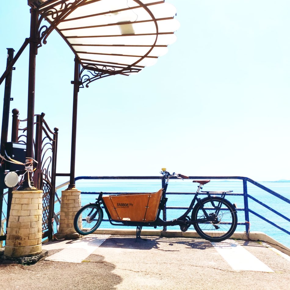 paysage vue mer et vélo vintage